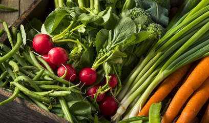 Fruits and Vegetables from Sirin Farm