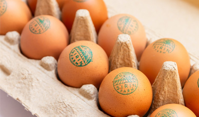 Dairy and Eggs | Sirin Farm